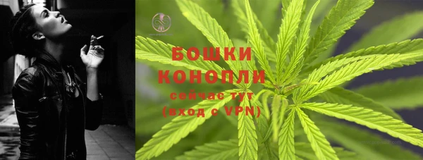MESCALINE Аркадак