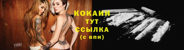 PSILOCYBIN Арсеньев