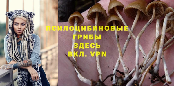 MESCALINE Аркадак
