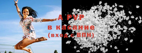 PSILOCYBIN Арсеньев